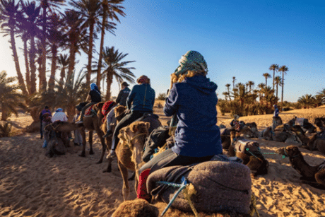 Private Morocco Tours for Company Groups and team building