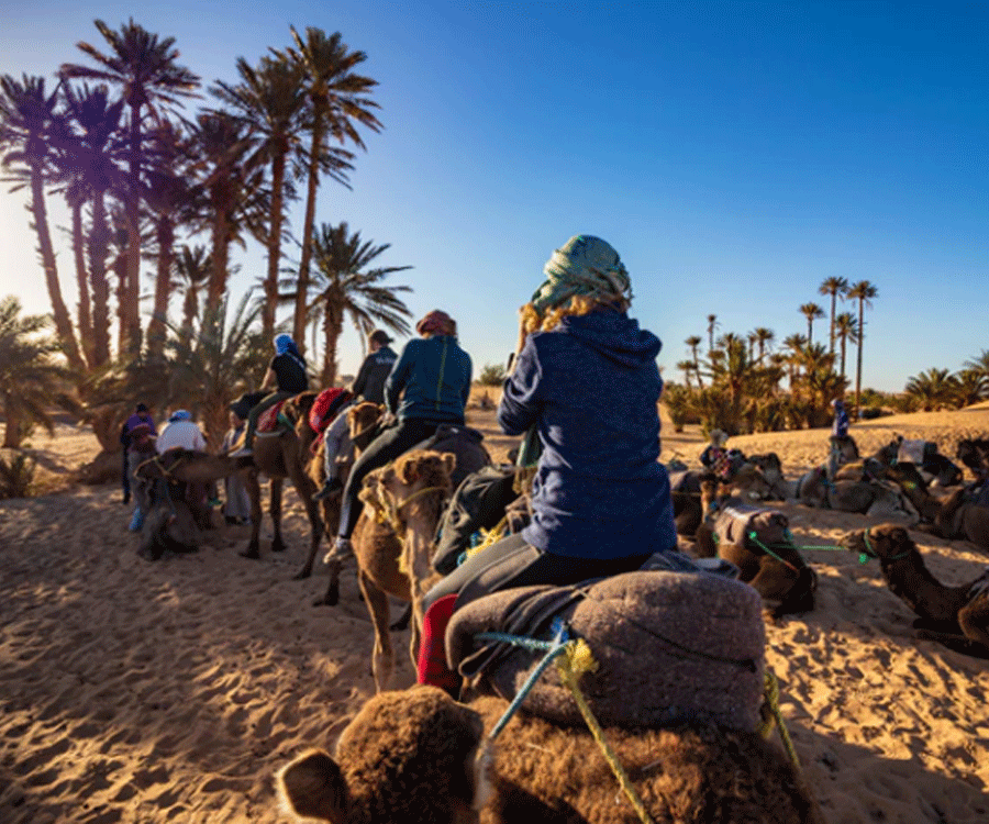 Private Morocco Tours for Company Groups and team building